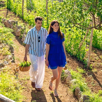 Capri on your plate
