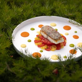 Capri on your plate